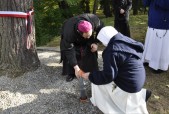 Biskup Marian Rojek składa dokument w korzeniach drzewa o imieniu  „Marcelina Darowska".