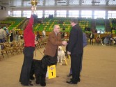Zastępca burmistrza Bogdan Wołoszyn składa gratulacje po wyborze najpiękniejszego psa Wystawy Jarosław 2007