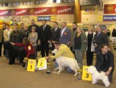 Zwycięskie psy z właścicielami, organizatorzy, sędziowie oraz starosta Tadeusz Chrzan (siódmy od prawej) i zastępca burmistrza Bogdan Wołoszyn (ósmy od prawej)