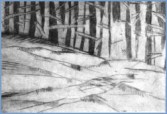 Aleksandra Niemiec z cyklu "Zima" - 8 x 15 cm sucha igła