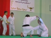 Pokaz judo