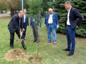 Na terenie zakładu z okazji 40-lecia sekretarz Jan Biłas, wraz z dyrektor na Europę Środką - Wschodnią Viivika Remmel oraz kierownikiem zakładu Jackiem Kotem posadził symboliczne drzewo. | Fot.  Tomasz Strzębała