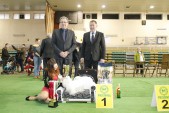 Tytuł BEST IN SHOW wystawy otrzymał maltańczyk Daniel, którego właścicielką jest Anna Skibińska. Podczas niedzielnych finałowych konkurencji, nagrody wręczali (od prawej) zastępca burmistrza Wiesław Pirożek oraz starosta jarosławski Tadeusz Chrzan.