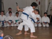 Pokaz walk karate w wykonaniu członków Przemyskiego Klubu Karate Tradycyjnego