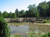 zwiedzanie Alboretum w Bolestraszycach